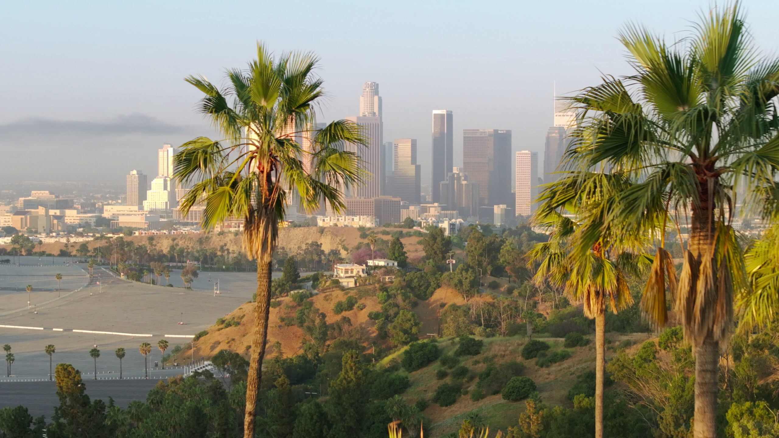 Panoramic view of the Los Angeles skyline with downtown skyscrapers and green palm trees in the foreground.
