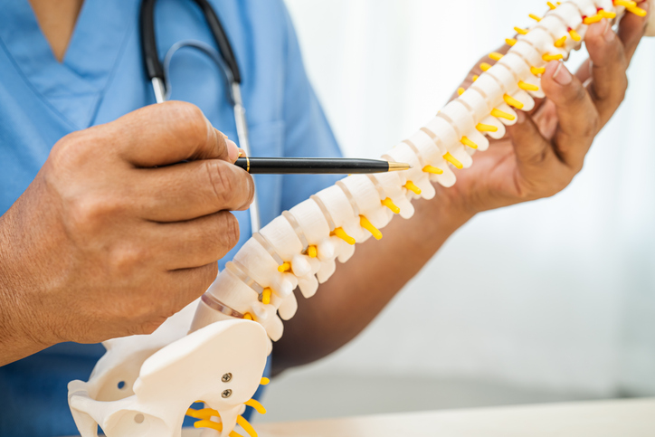 Doctor reviewing Spine results for Rojeh Melikian, M.D.